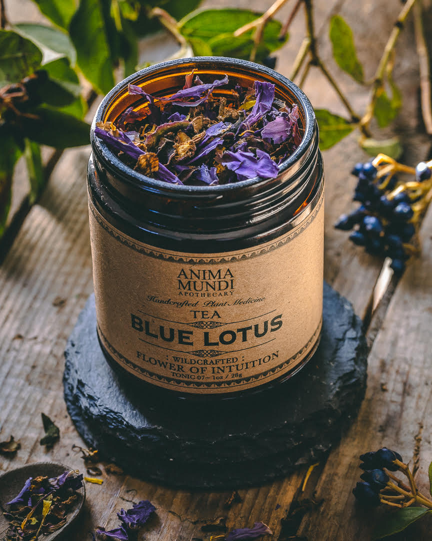 BLUE LOTUS TEA BY ANIMA MUNDI