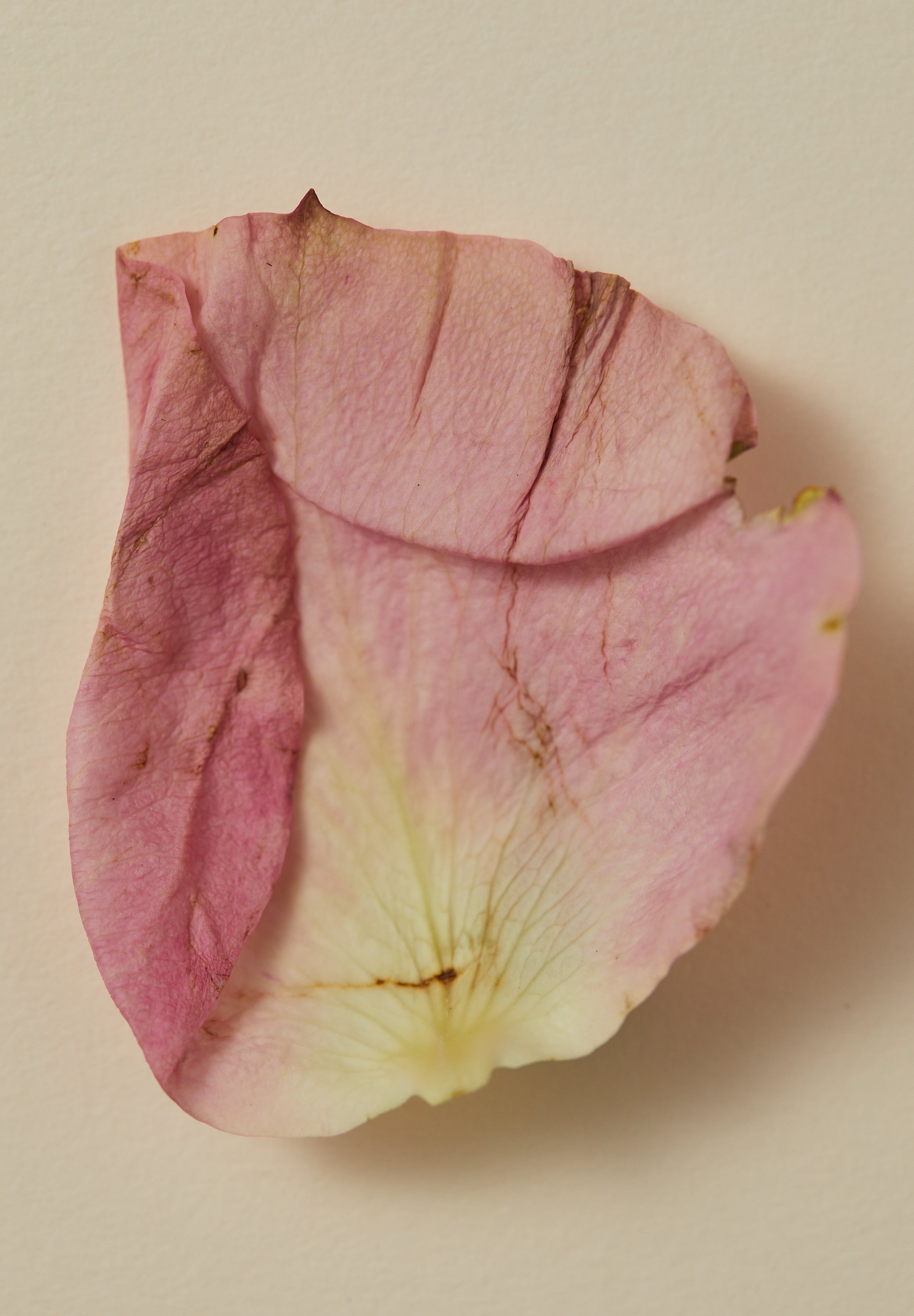 SMOKING ROSE PERFUME BY AYU