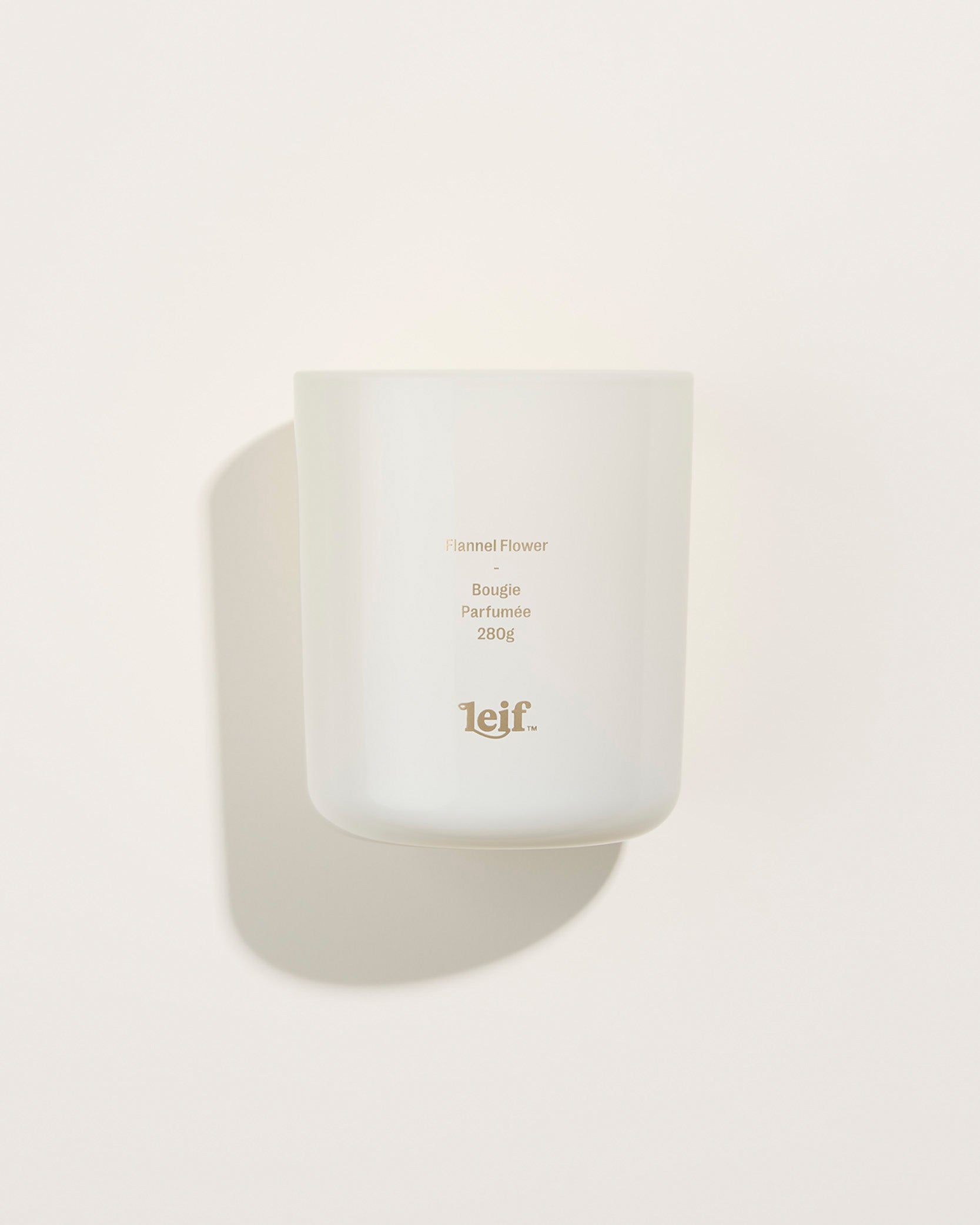FLANNEL FLOWER CANDLE BY LEIF