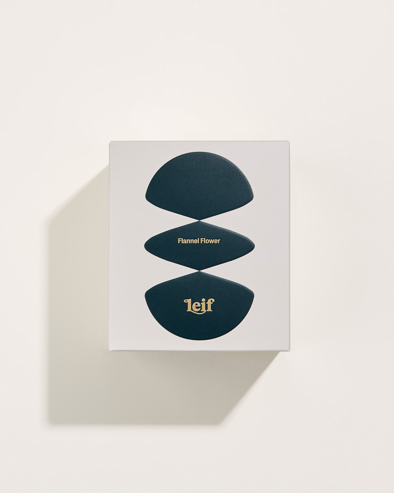 FLANNEL FLOWER CANDLE BY LEIF