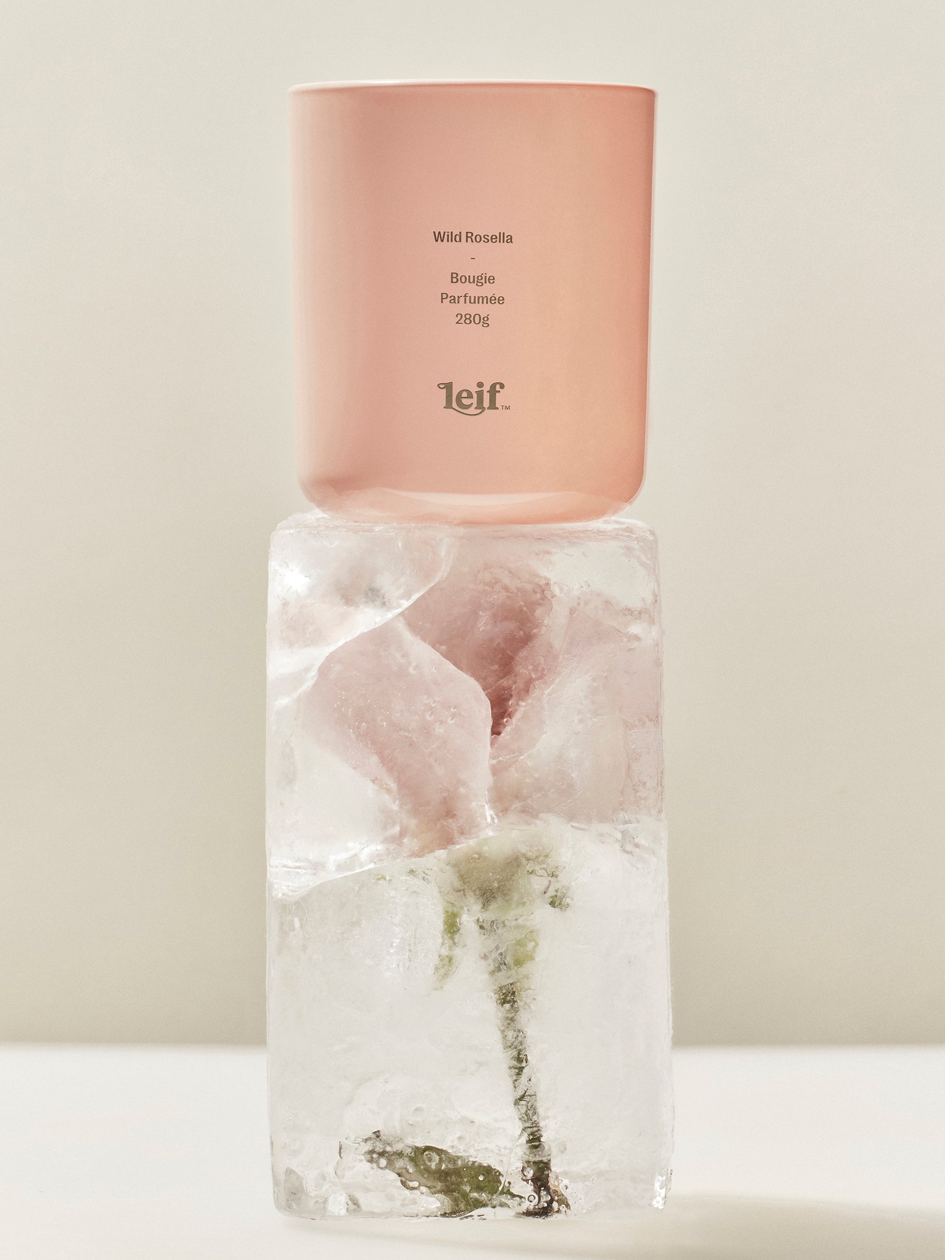 WILD ROSELLA CANDLE BY LEIF