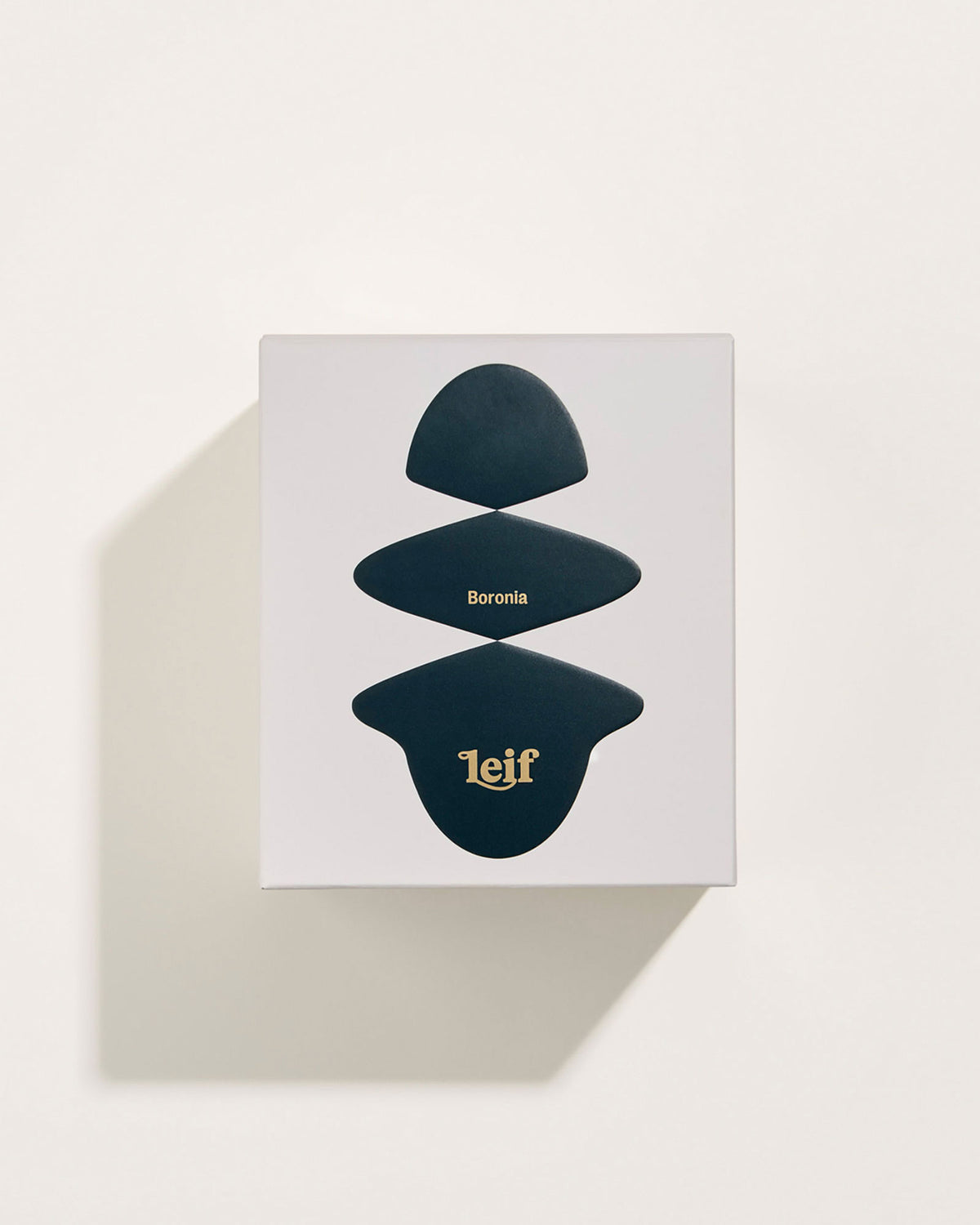 A square white box with a black abstract pattern with gold foil lettering which reads Boronia Leif. Set on a white background.