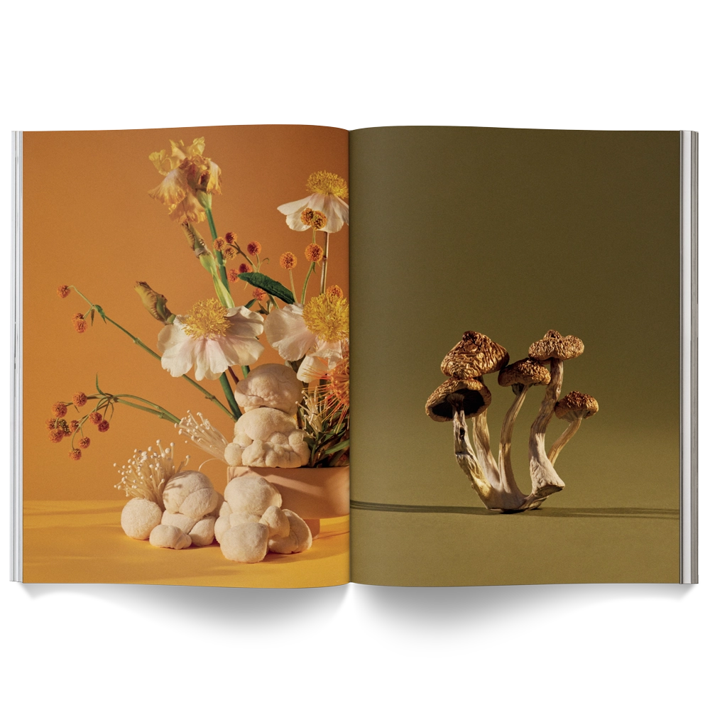 MUSHROOM PEOPLE MAGAZINE VOL.1 BY BROCCOLI