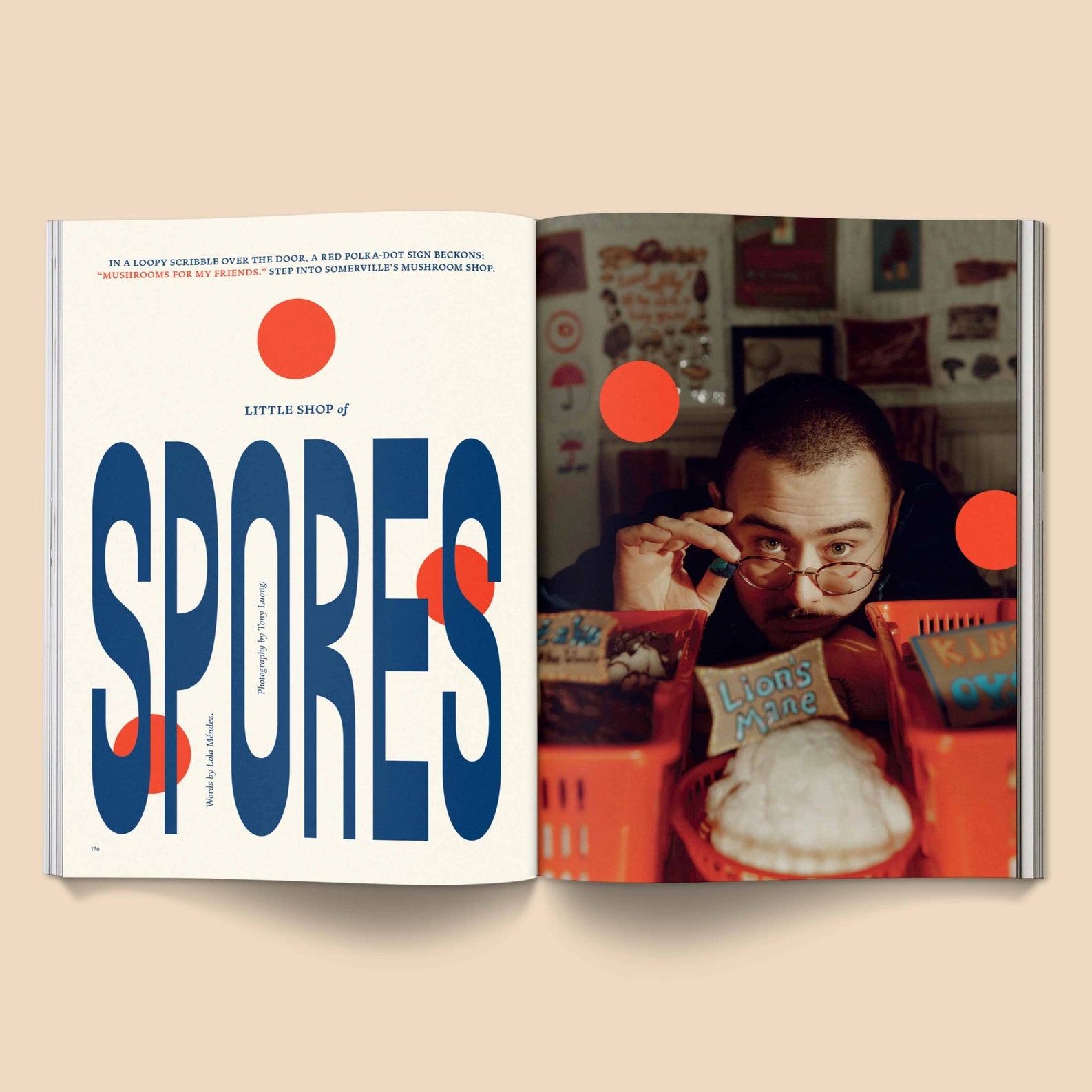 MUSHROOM PEOPLE MAGAZINE VOL.2 BY BROCCOLI