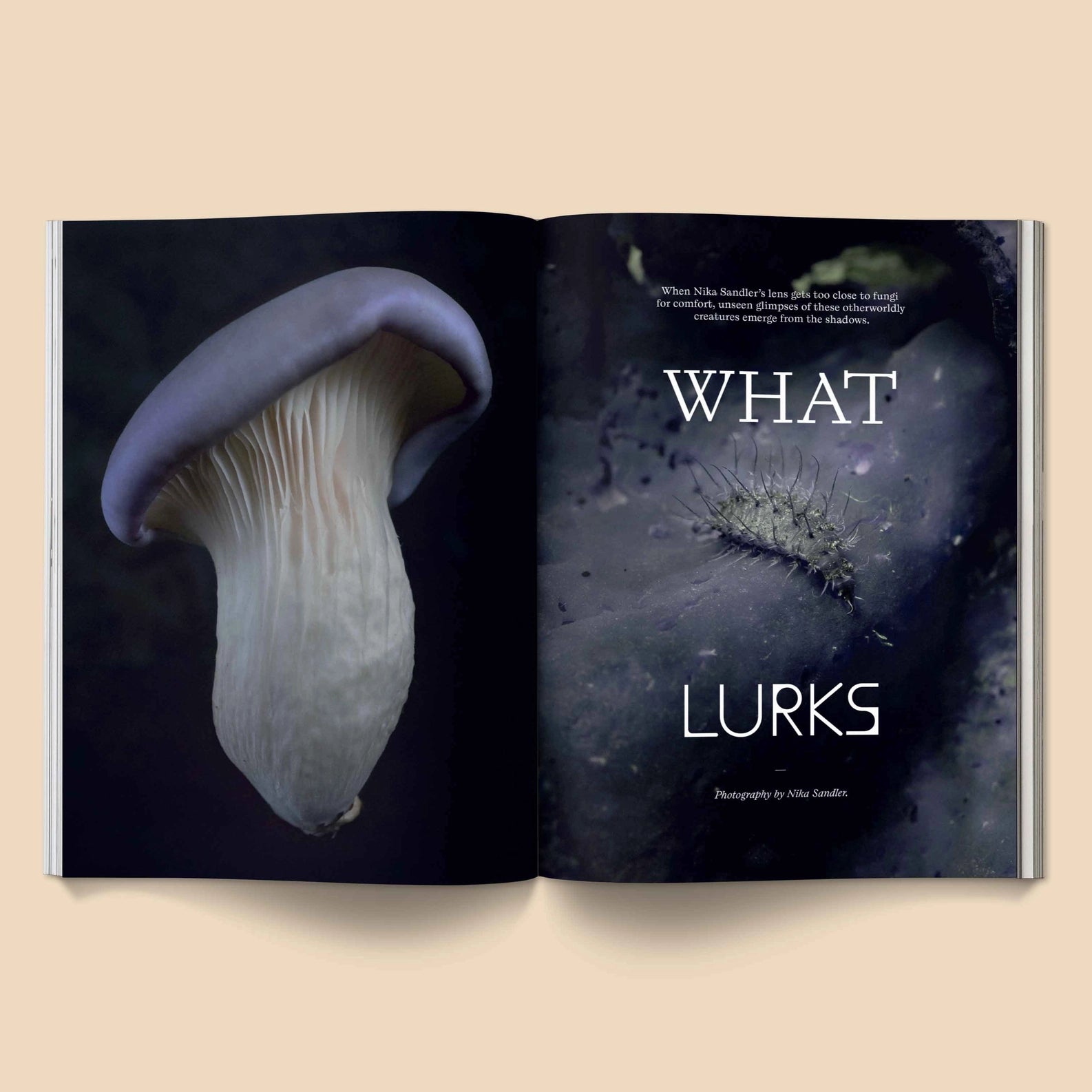 MUSHROOM PEOPLE MAGAZINE VOL.2 BY BROCCOLI