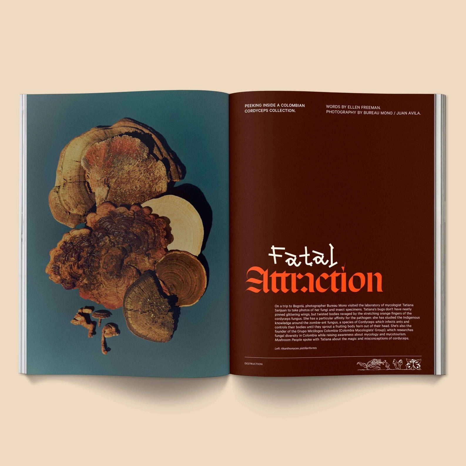 MUSHROOM PEOPLE MAGAZINE VOL.2 BY BROCCOLI