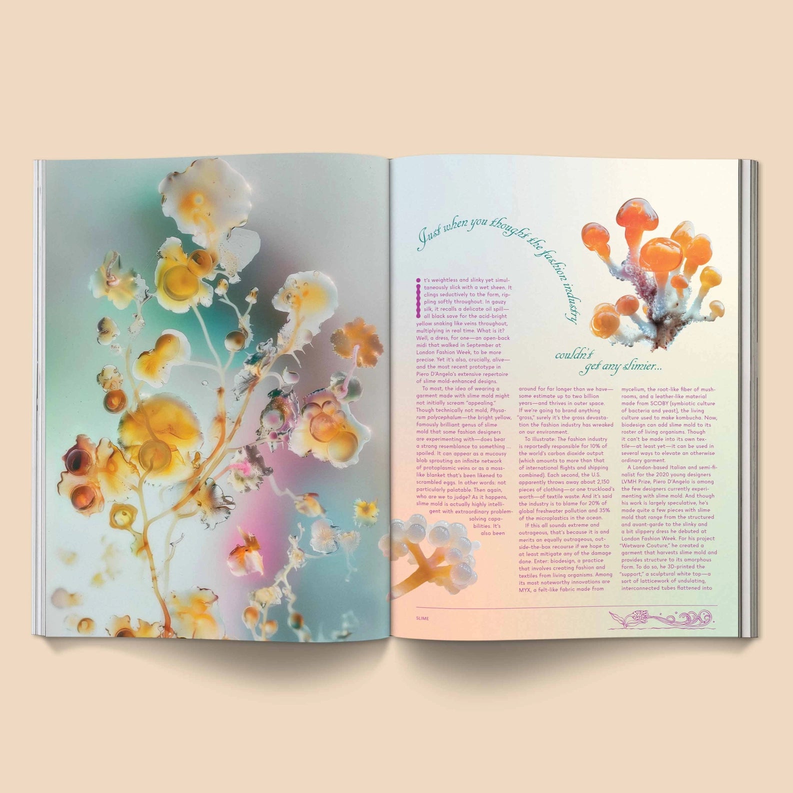 MUSHROOM PEOPLE MAGAZINE VOL.2 BY BROCCOLI