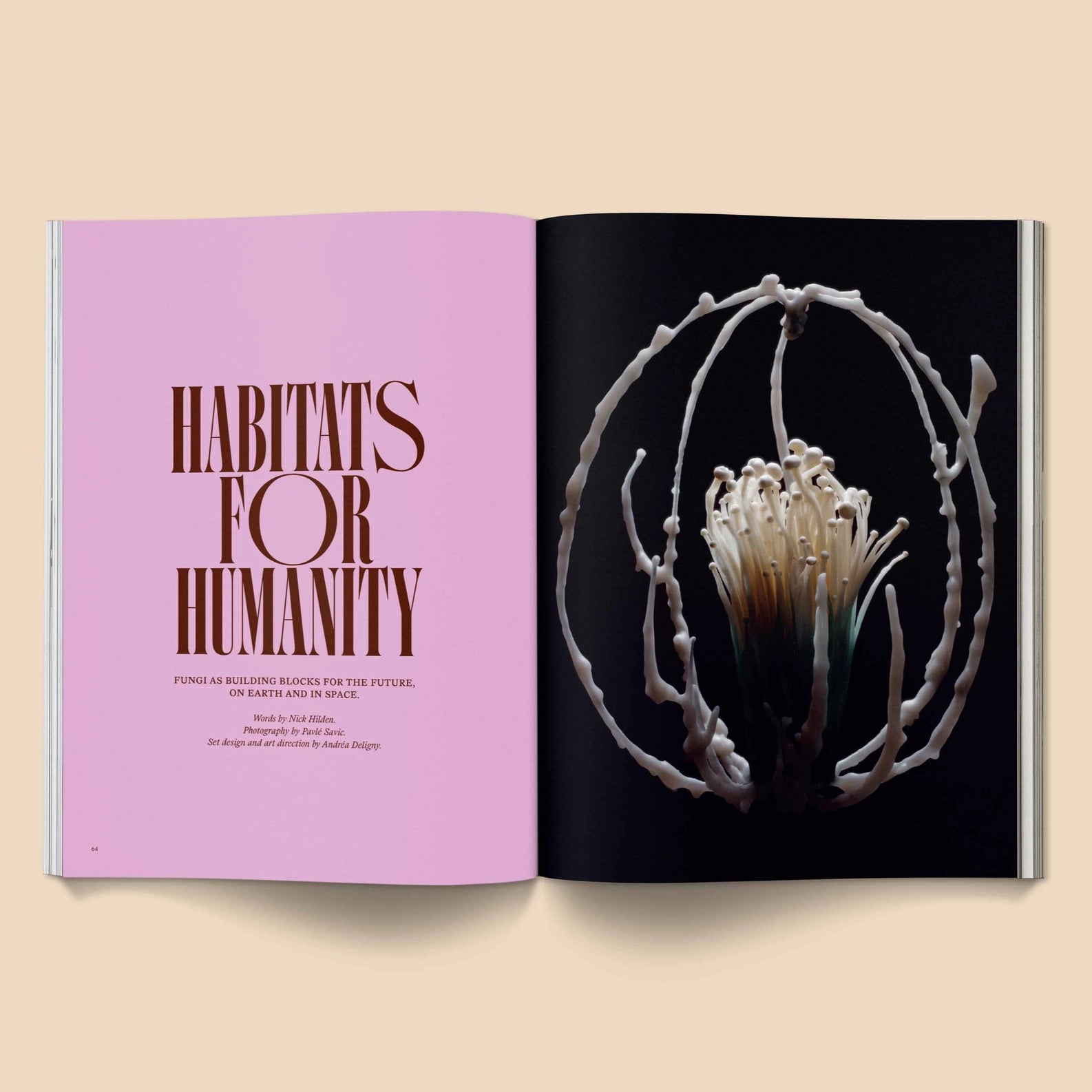 MUSHROOM PEOPLE MAGAZINE VOL.2 BY BROCCOLI