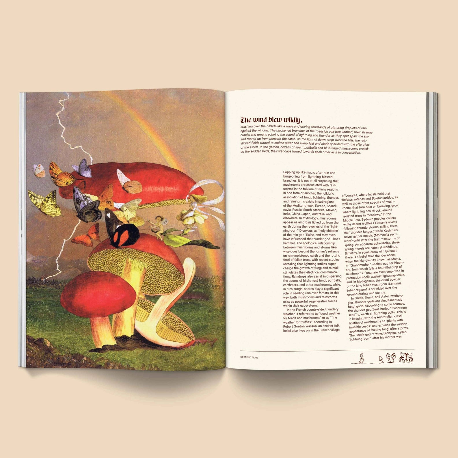 MUSHROOM PEOPLE MAGAZINE VOL.2 BY BROCCOLI