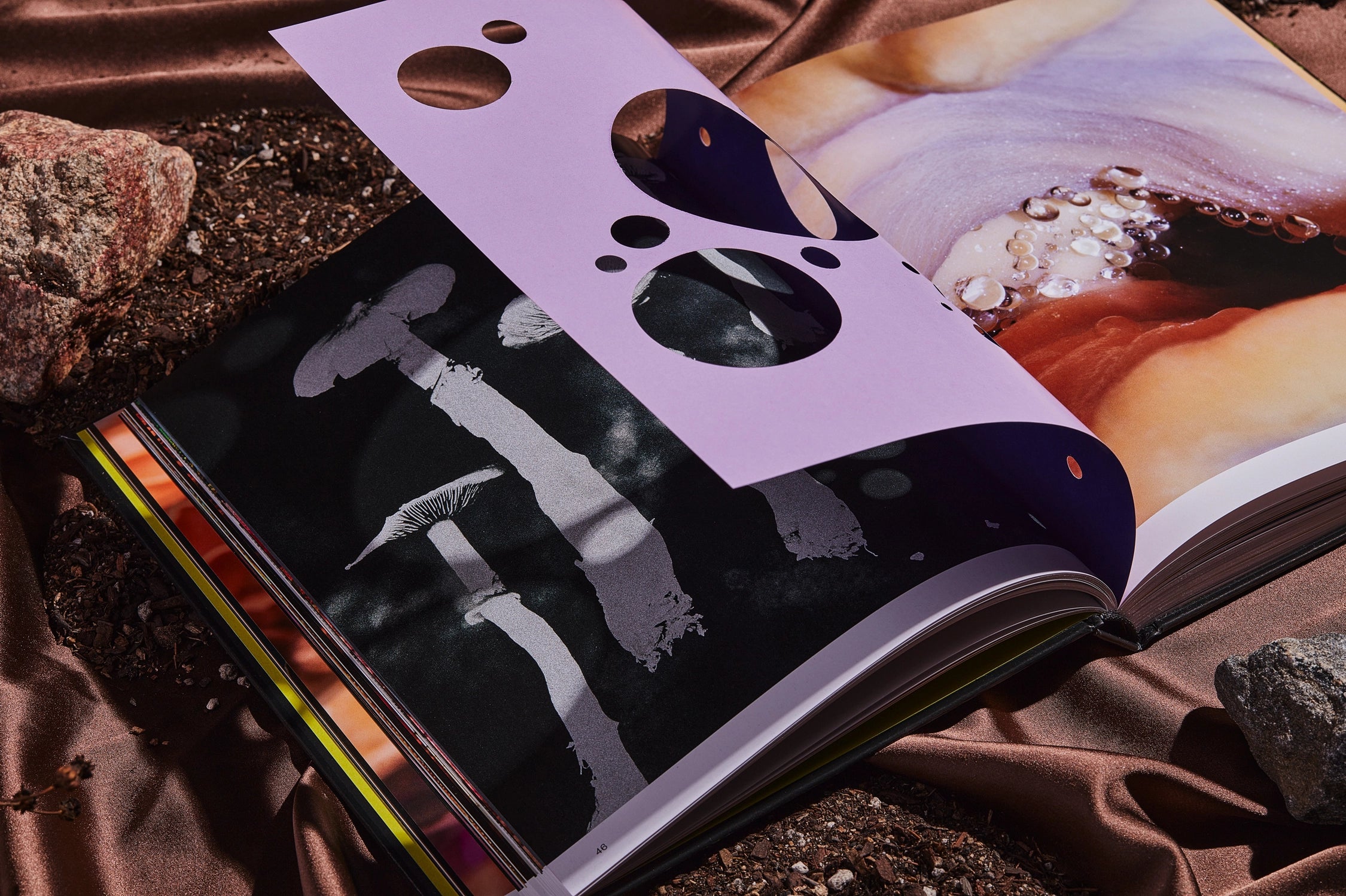 SPORES MAGICAL MUSHROOM PHOTOGRAPHY BY BROCCOLI