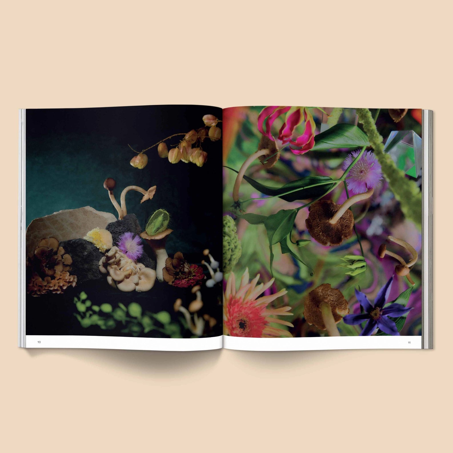 SPORES MAGICAL MUSHROOM PHOTOGRAPHY BY BROCCOLI