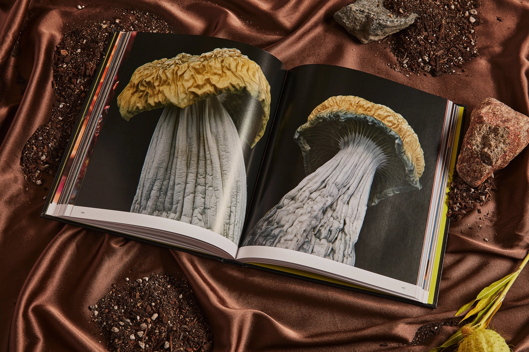 SPORES MAGICAL MUSHROOM PHOTOGRAPHY BY BROCCOLI