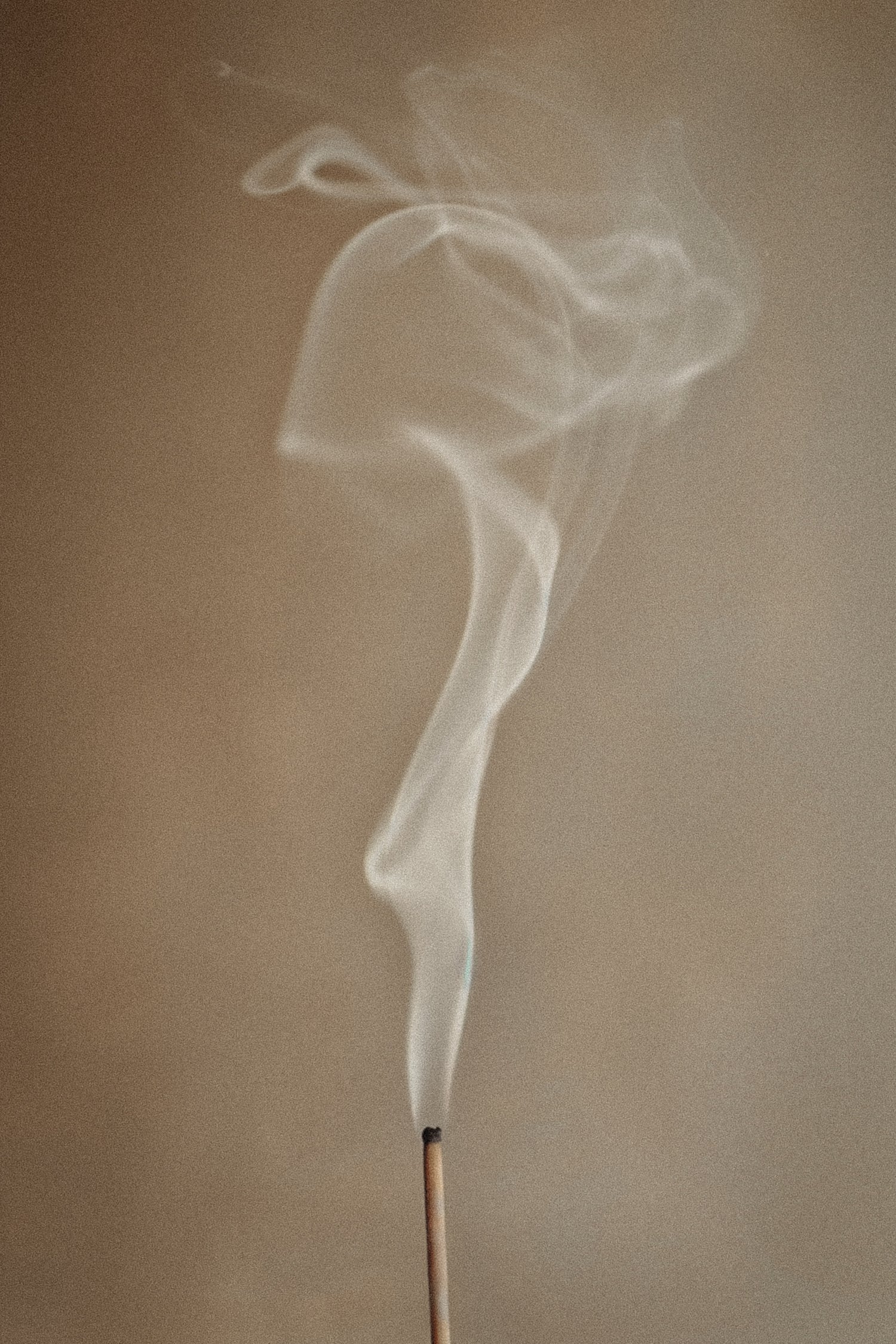 BLUE GUM + LEMON MYRTLE INCENSE SET BY ADDITION STUDIO