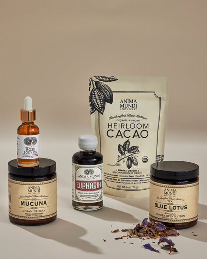 SACRED HEART KIT BY ANIMA MUNDI