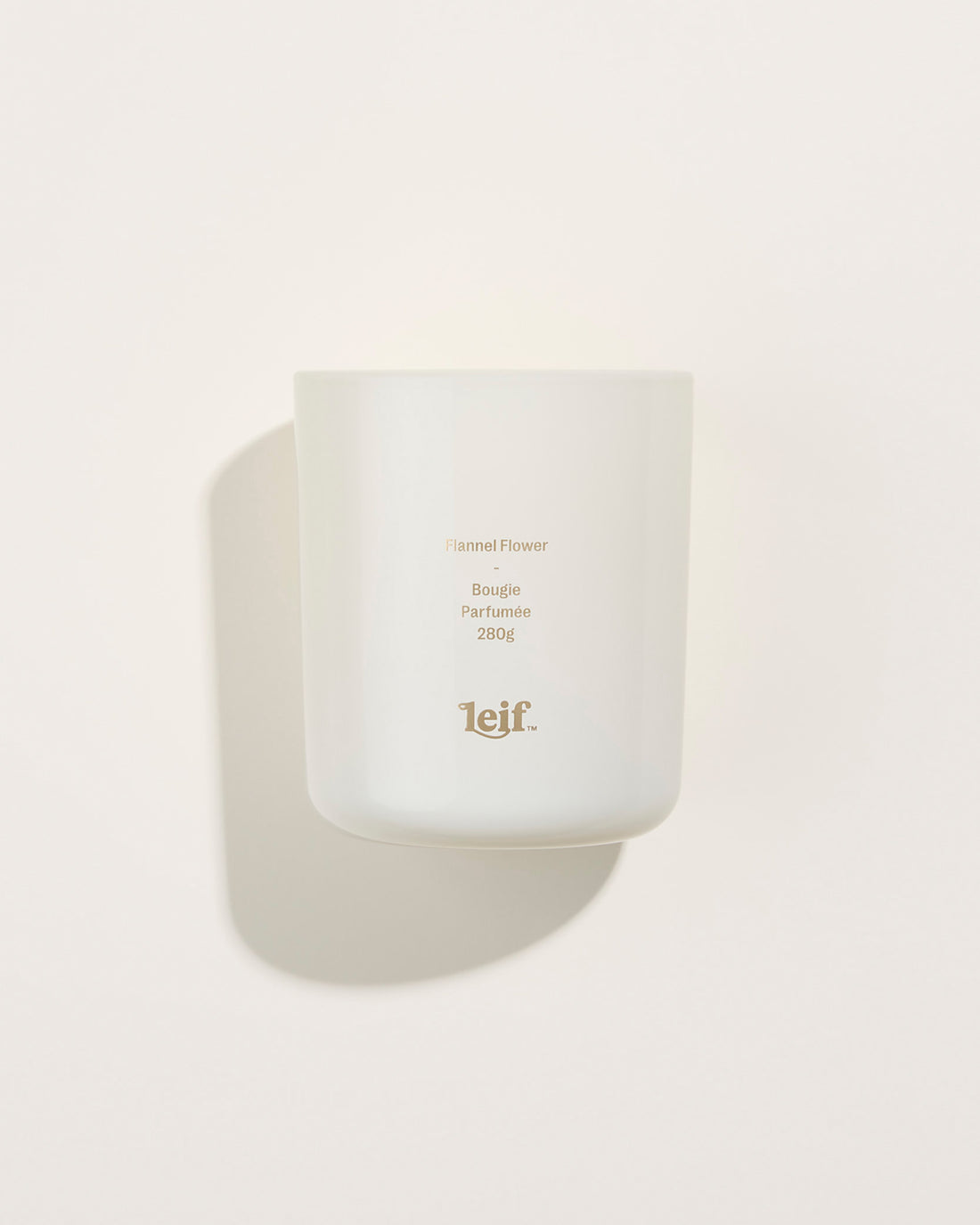 FLANNEL FLOWER CANDLE BY LEIF