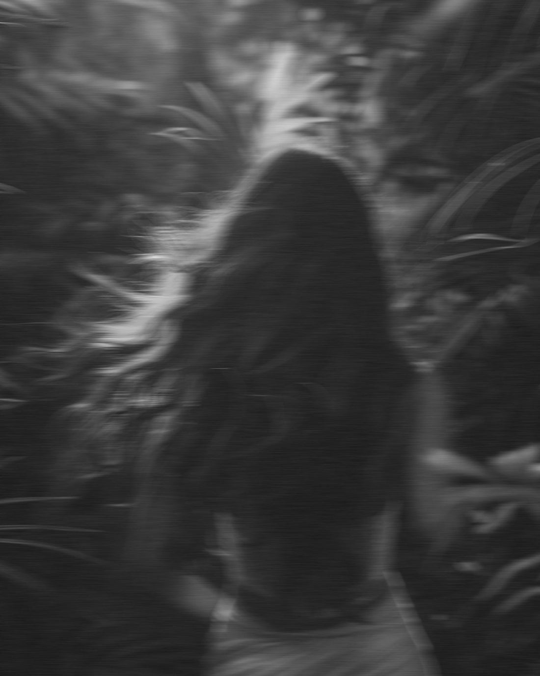 Black and white blurred photograph of a woman with long hair walking through tropical palms.
