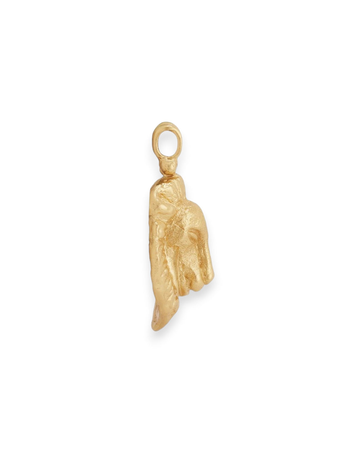 A portrait view of a gold lion&