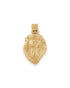 A front-facing gold lion&