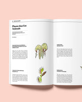 An inside spread of Double Blind magazine issue two featuring a story on &