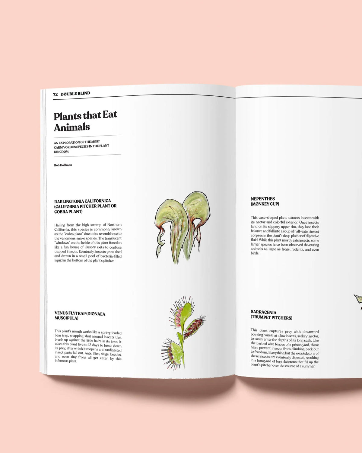 An inside spread of Double Blind magazine issue two featuring a story on &