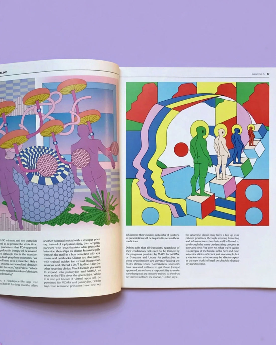 An inside spread of Double Blind magazine issue five featuring a story with psychedelic-style illustrations. 