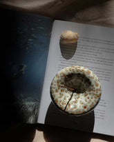 A ceramic, bowl shaped incense holder is displayed on an open book next to a small seashell. 