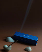 A blue rectangular box labeled &