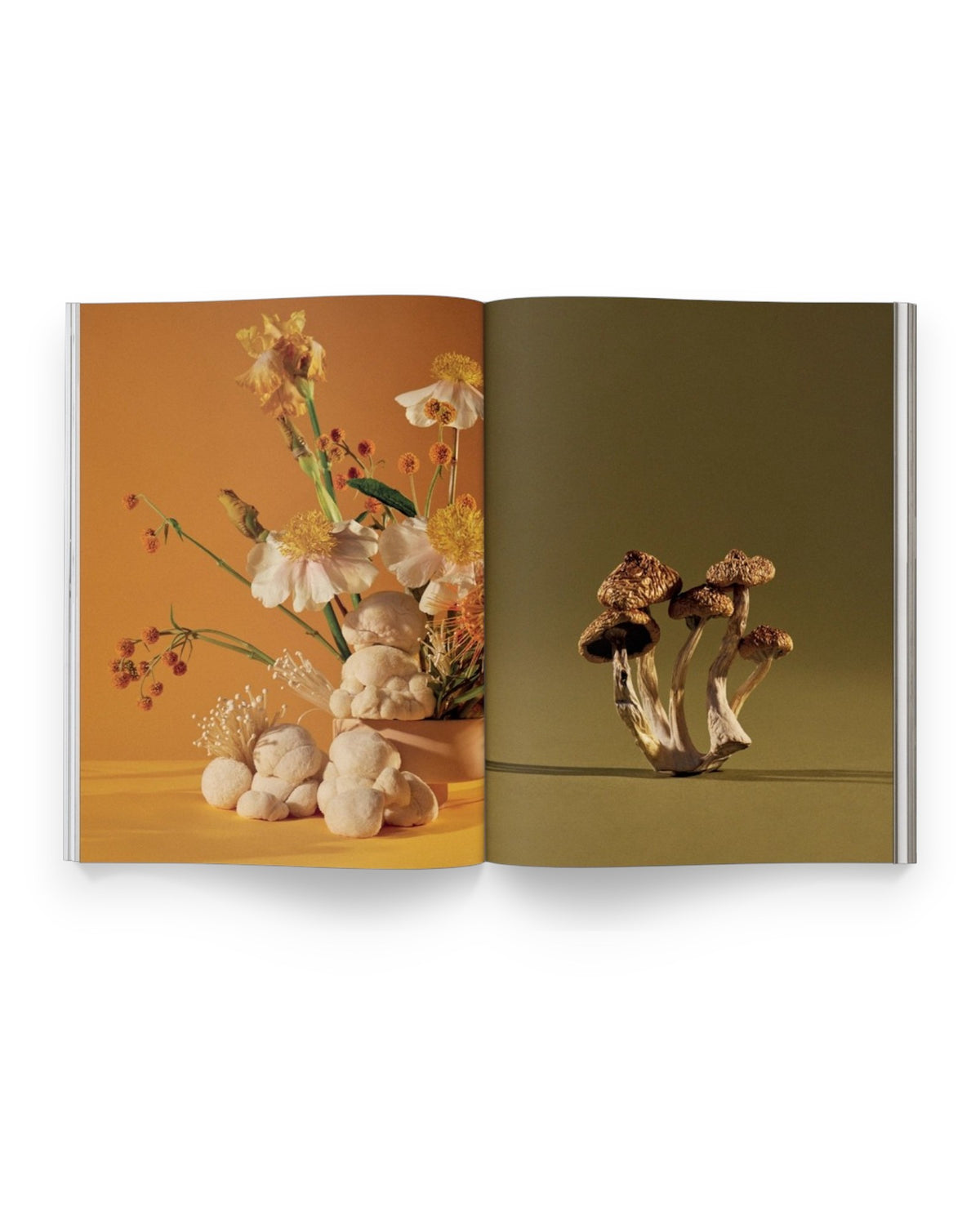 An inside spread of Mushroom People Magazine Volume One showing full page photographs of mushroom and flower arrangements. Set on solid white background. 
