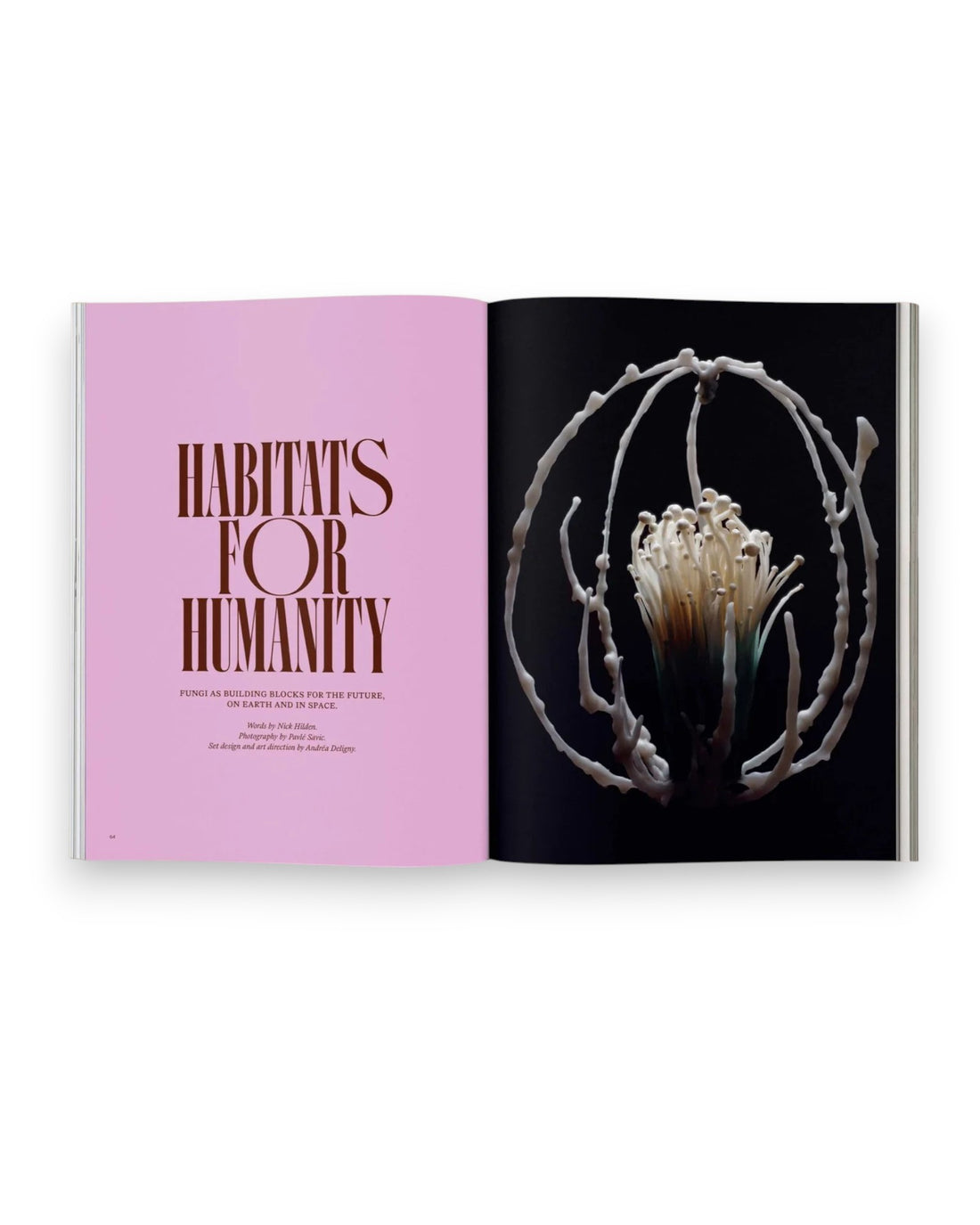 An open spread of Mushroom People Magazine Volume Two on a solid white background. The left page is an introductory title on a fuchsia background which reads Habitats For Humanity, on the right page is a full bleed photograph of an alien-like mushroom on a black background.