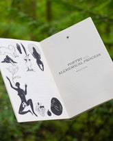 An open spread of the Poesis Visions and Verses Guidebook. Several unrelated hand drawn illustrations are on the left page, on the right is a title page hat reads Poetry as an Alchemical Process. Followed by Megan King. Book is floating in a green leafy forest.
