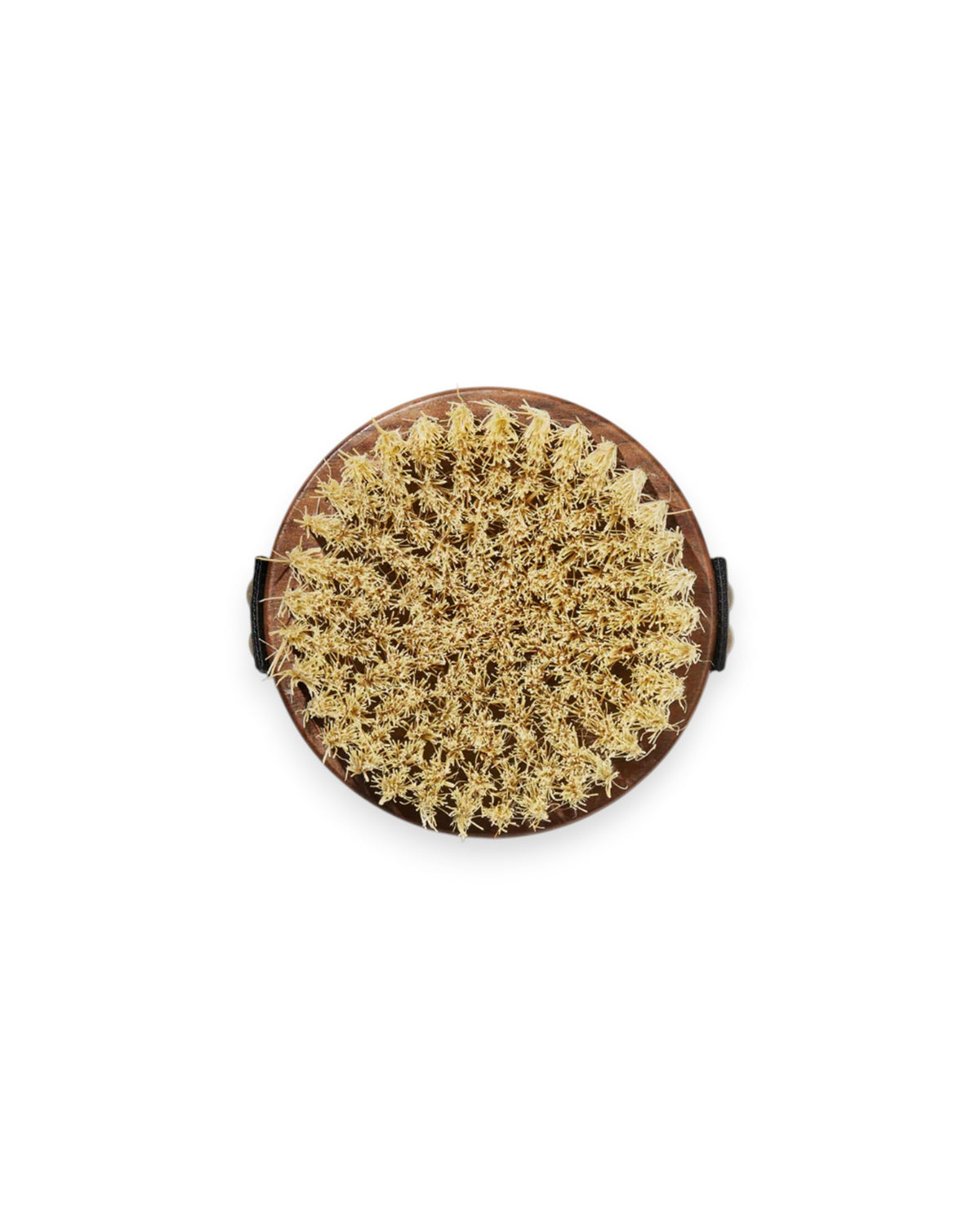 The bristle-end of a Sodashi Dry Body Brush showing a circle of hay-coloured bristles with a wood backing. White background.