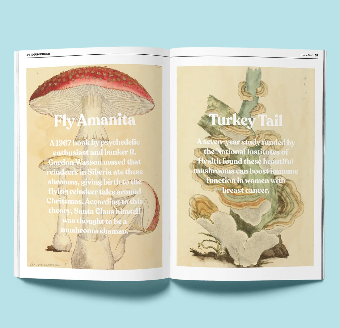 DOUBLEBLIND MAGAZINE ISSUE 1