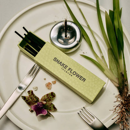 CHROME INCENSE HOLDER BY GENTLE HABITS
