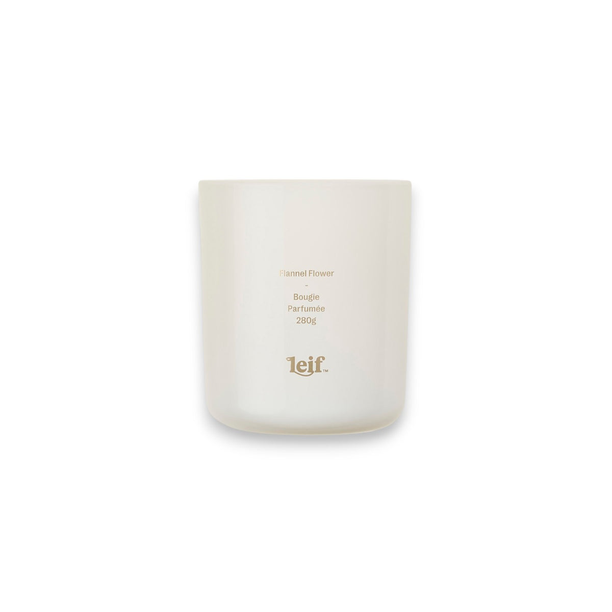 FLANNEL FLOWER CANDLE BY LEIF