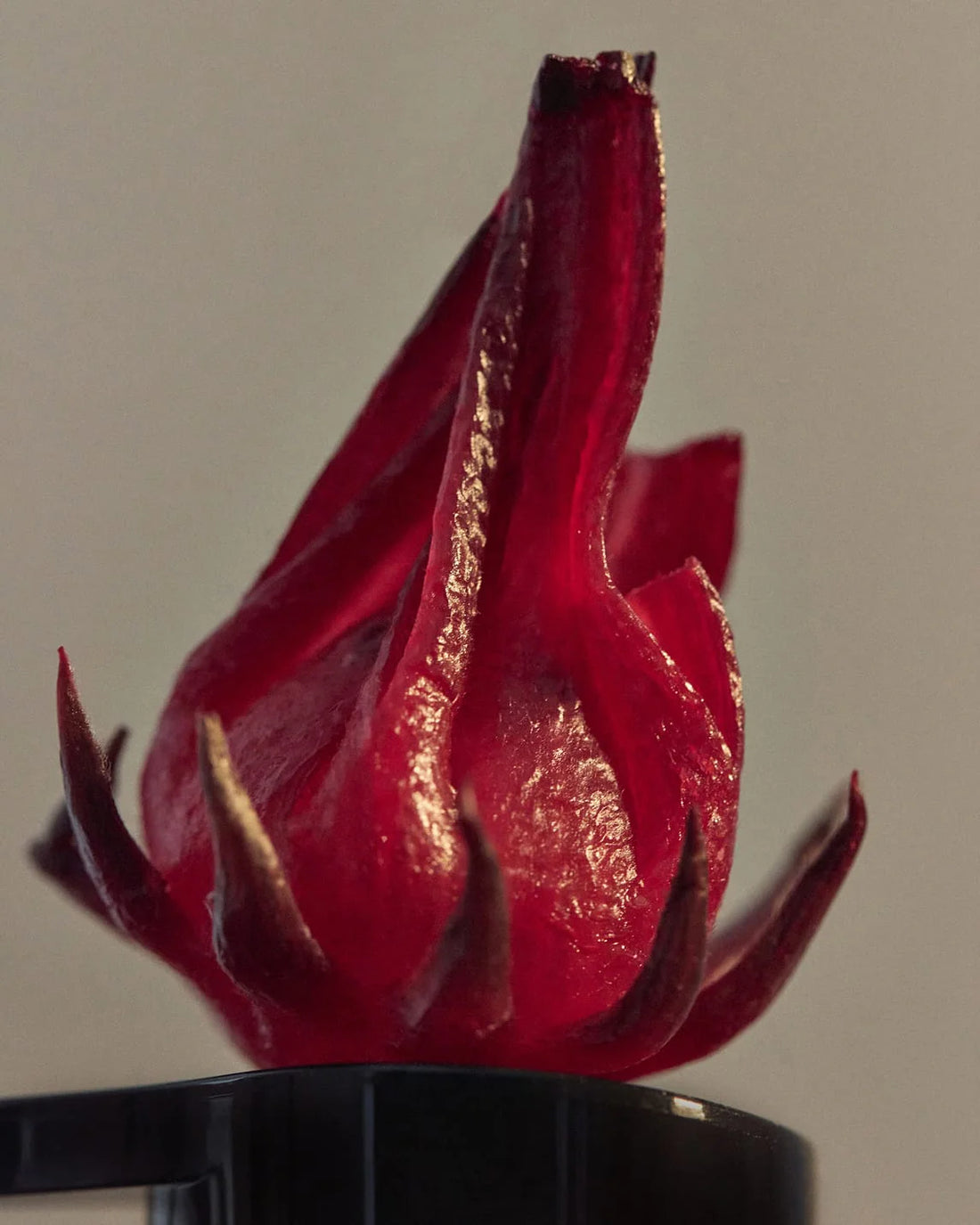WILD ROSELLA BODY CLEANSER BY LEIF