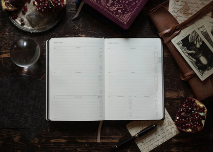 2026 ASTROLOGICAL ALMANAC + PLANNER BY MAGIC OF I ~ CLASSIC BLACK
