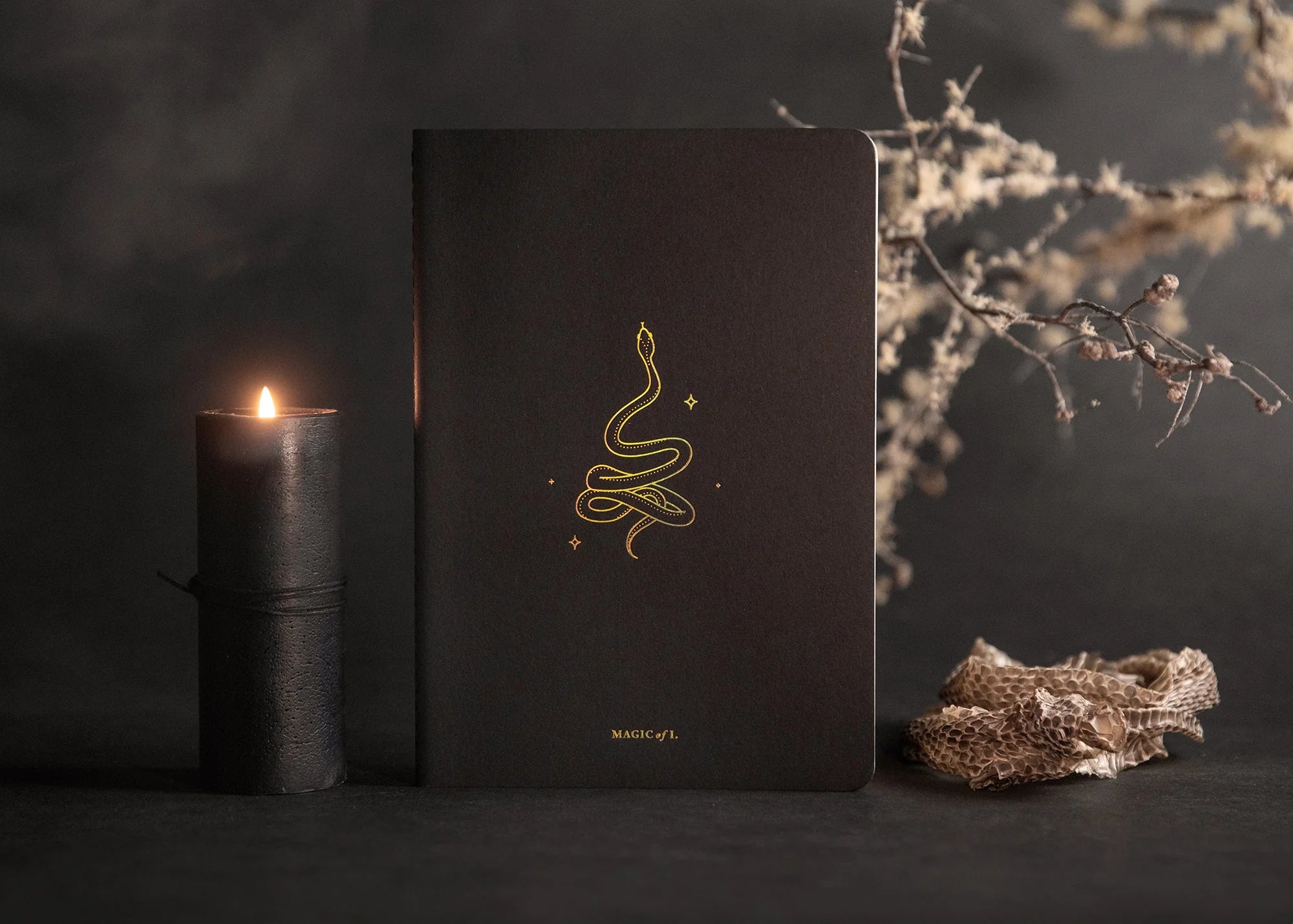TRANSFORM NOTEBOOK BY MAGIC OF I