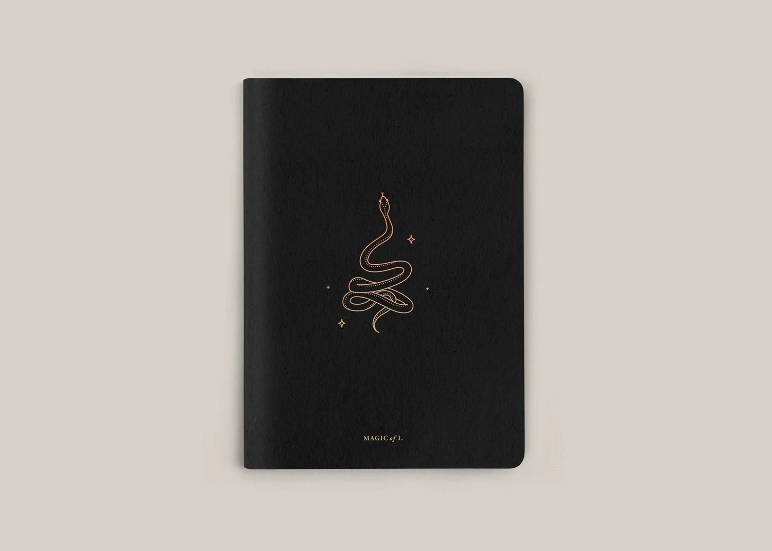 TRANSFORM NOTEBOOK BY MAGIC OF I