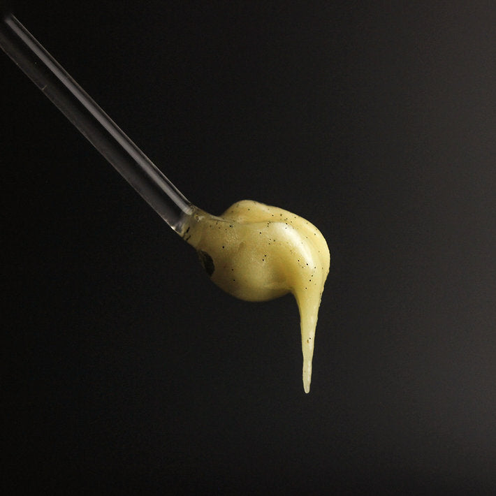 NORDIC AMBER + 24K GOLD CREAMED HONEY BY AURUMAYA