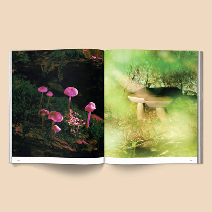 SPORES MAGICAL MUSHROOM PHOTOGRAPHY BY BROCCOLI