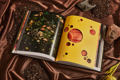 SPORES MAGICAL MUSHROOM PHOTOGRAPHY BY BROCCOLI