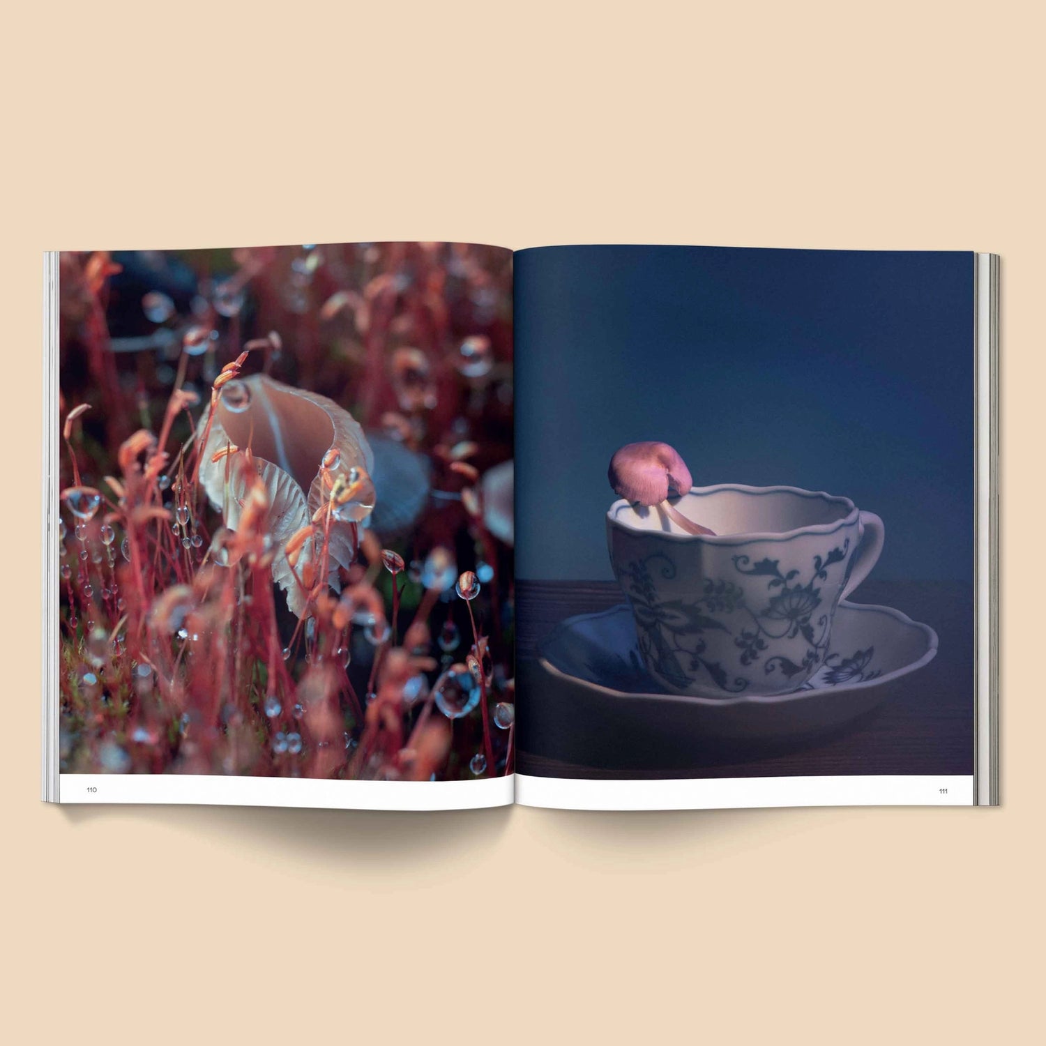 SPORES MAGICAL MUSHROOM PHOTOGRAPHY BY BROCCOLI