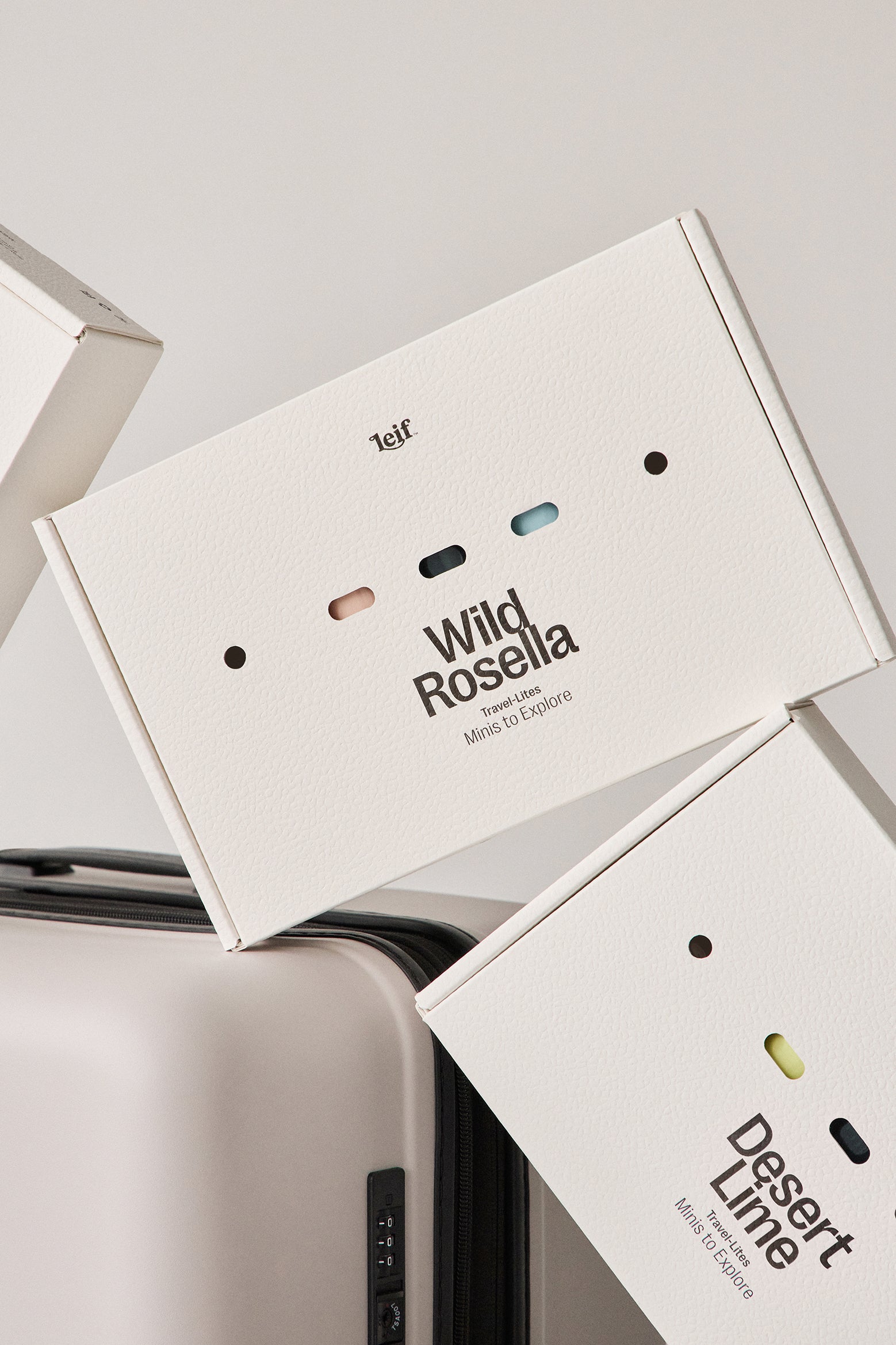 WILD ROSELLA TRAVEL LITES BY LEIF