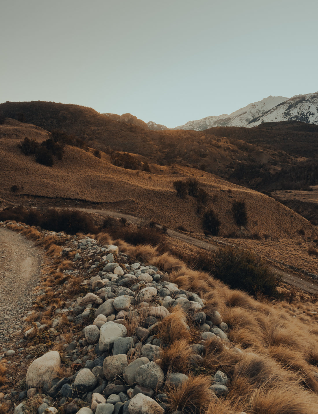 TASMANIA INCENSE BY GENTLE HABITS